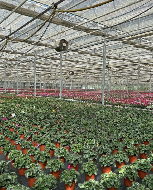 Agricola Favero